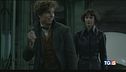 Stasera su Canale 5 "Animali fantastici"
