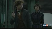 Stasera su Canale 5 "Animali fantastici"