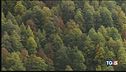Ferragosto di fuoco, avanzano le foreste