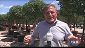 Un'azienda agricola costretta a pagare per rifiuti che non produce