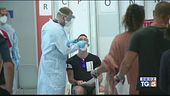 Contagi in lieve calo Oms: pandemia rallenta