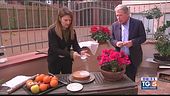 Gusto Verde: Torta del paradiso