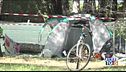 Alberi su tenda, due indagati