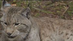 Puntata del 19 gennaio