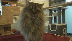 Puntata del 26 gennaio