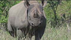 Puntata del 16 febbraio