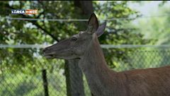 Puntata del 4 ottobre