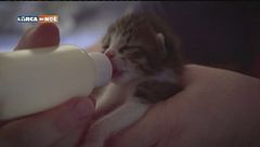 Puntata del 18 ottobre