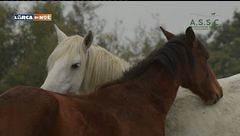 Puntata dell'1 novembre