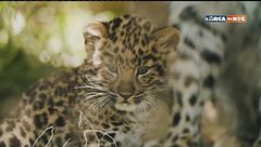 Puntata dell'8 novembre