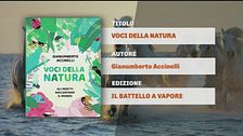 Il Can-piello