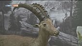 Museo di Storia Naturale di Pavia