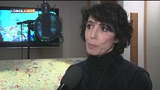Tartarughe in viaggio