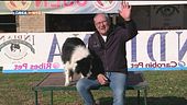 L'educa-cani
