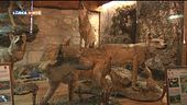 La riserva della Biosfera