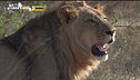 Zimbabwe, fascino naturale