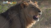 Zimbabwe, fascino naturale