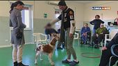 L'educa-cani
