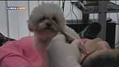 L'Educa-cani