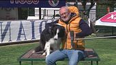 L'educa-cani