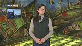 Monticiano: il museo multimediale della biodiversità