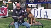 L'educa-cani