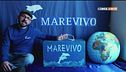 Il mare a casa