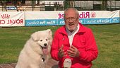 L'educa-cani