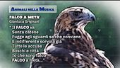 Animali nella musica