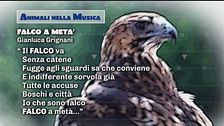 Animali nella musica