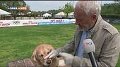 L'educa-cani