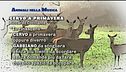 Animali nella musica