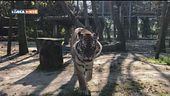 Lo zoo di Lignano Sabbiadoro