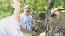 La visita al Fantaparco di Villarfocchiardo