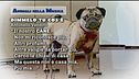 Animali nella musica