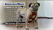 Animali nella musica