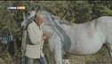 Tra uomo e cavallo