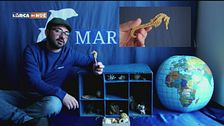 Il mare a casa