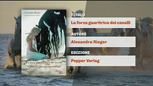 Il can-piello