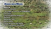 Animali nella musica