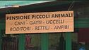 Le pet-vacanze
