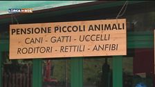 Le pet-vacanze