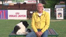 L'educa-cani
