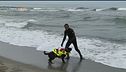 Bagnini a quattro zampe in Versilia