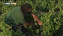 L'agricoltura di Pantelleria