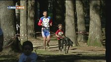 L'educa-cani