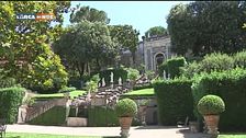 Emozioni verdi