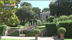 Emozioni verdi