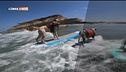Quando il surfista è un cane