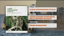 Il Can-piello